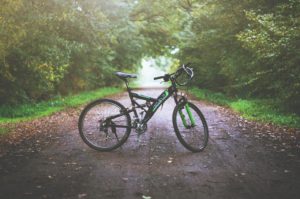 Chcete si koupit horské kolo? Setkat se můžete s hned několika druhy