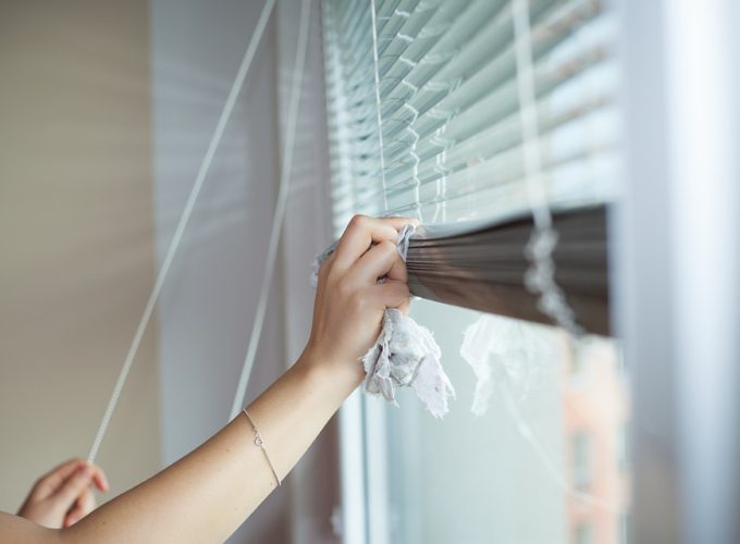 Účinné tipy a rady, jak se zbavit plísní. Zatočte s nevítaným hostem