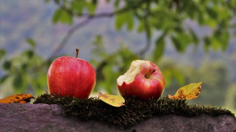 Apple logo: proč je jablko nakousnuté