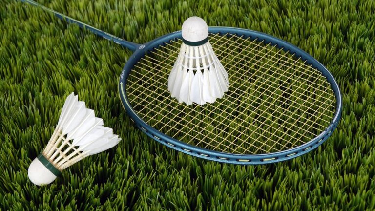 Badmintonový košíček: proč je z peří