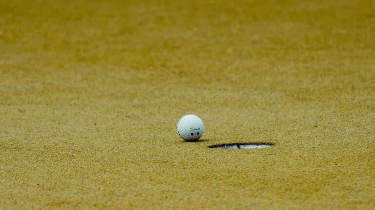 Birdie a eagle v golfu: odkud jsou názvy